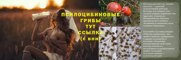 соль ск Аркадак