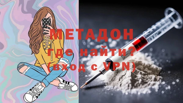 прущие грибы Лабытнанги