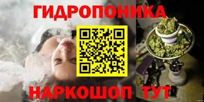 молекула духа Славгород