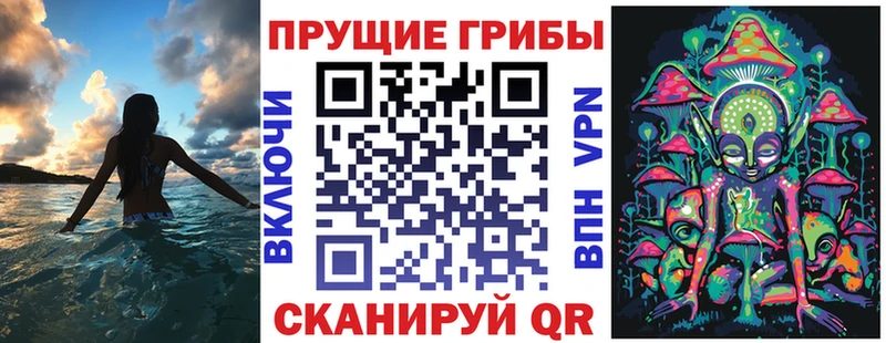 ссылка на мегу ссылки  цена наркотик  Омск  Галлюциногенные грибы прущие грибы 