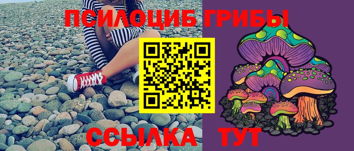 Галлюциногенные грибы GOLDEN TEACHER Омск